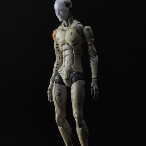 1/6 Synthetic Human Test Body | Collectibles.Wiki