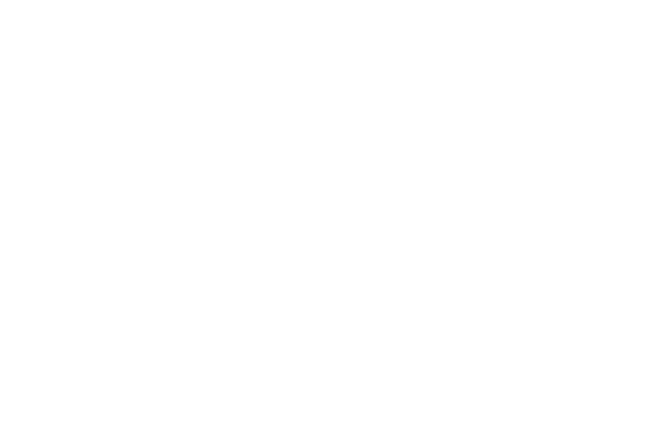 Toycom