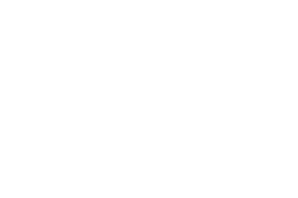 Busou Shinki