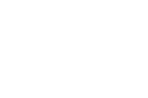 Metal Slug