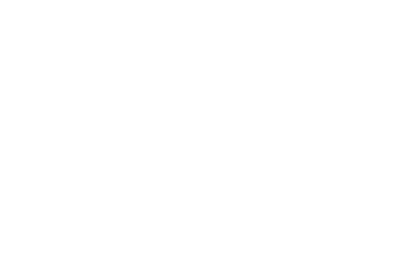 Megaranger