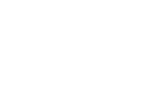 Tiger & Bunny