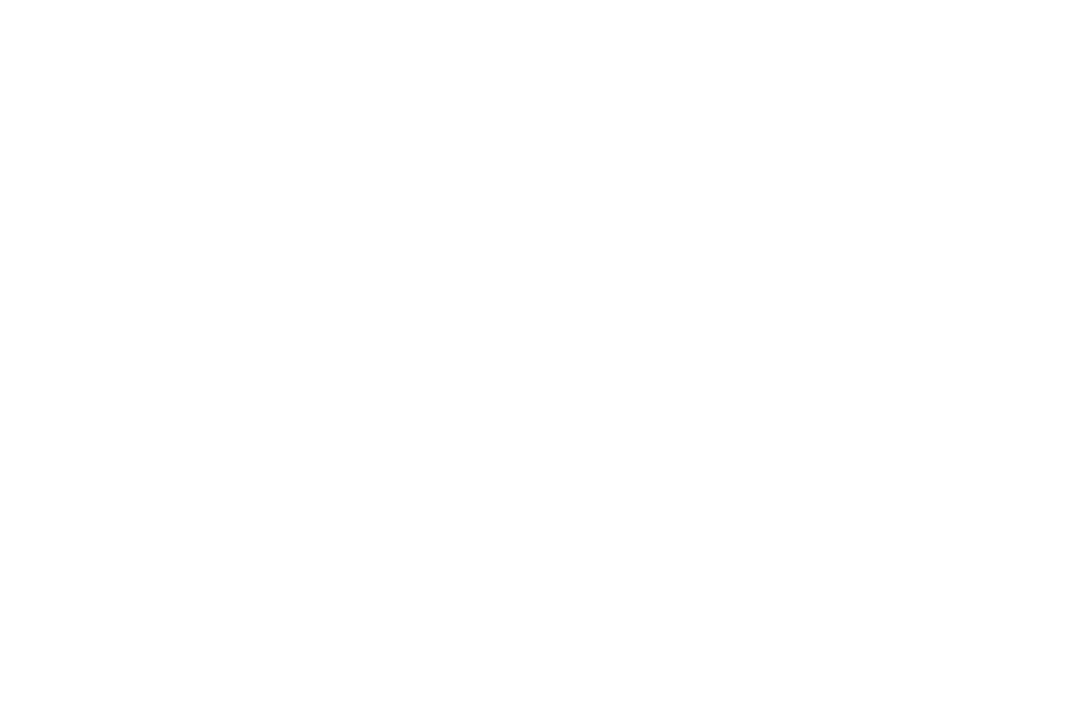 Terminator