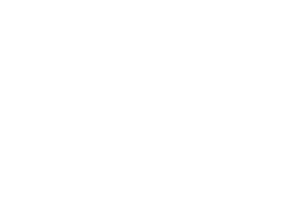 Toynami™