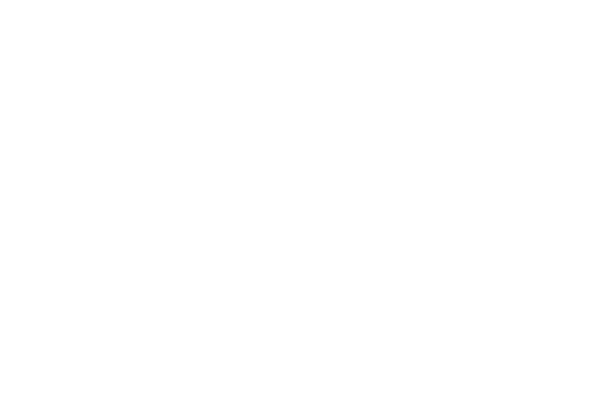 The Maxx