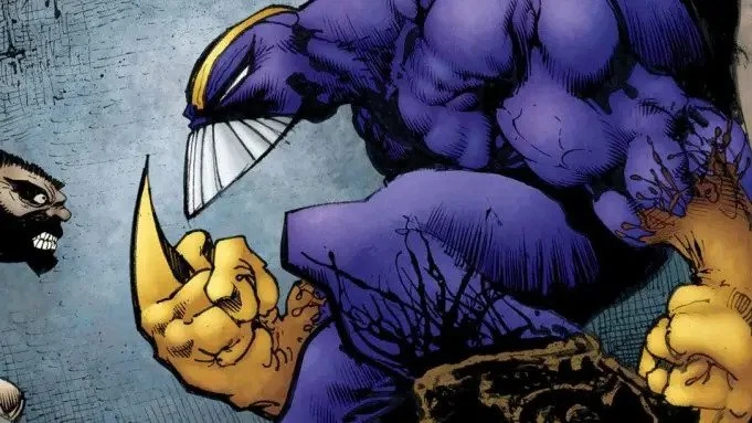 The Maxx